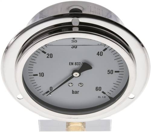 Glycerin-Einbaumanometer,Frontring, 100mm, 0 - 60 bar -Eco-Line