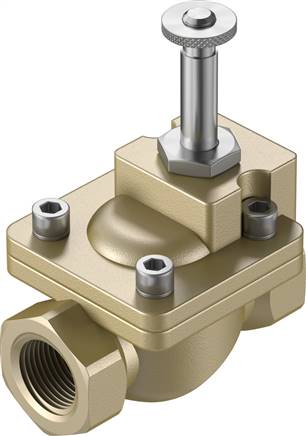 FESTO VZWM-L-M22C-G12-F4 (546148) Magnetventil