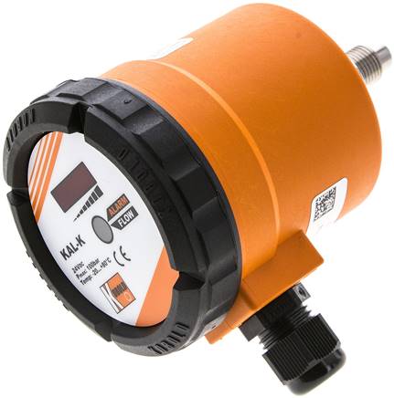 elektron. Strömungswächter G 1/4", 24 V=