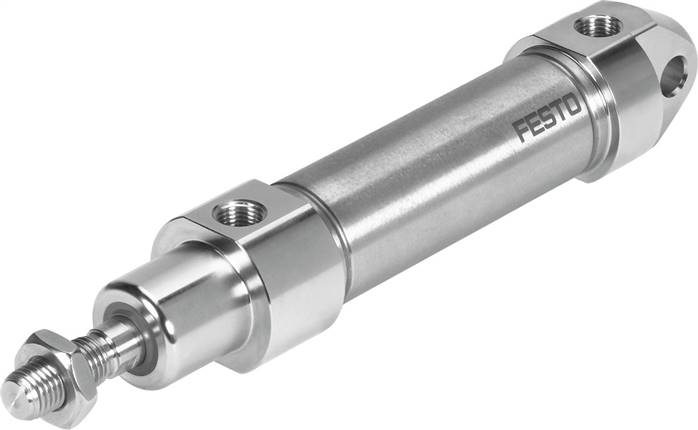 FESTO CRDSNU-B-20-100-PPS-A-MG-A1 (8073975) Normzylinder