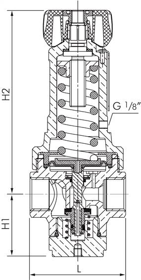 Druckregler, 1.4408, G 1-1/2", 10 - 50bar (Standard)