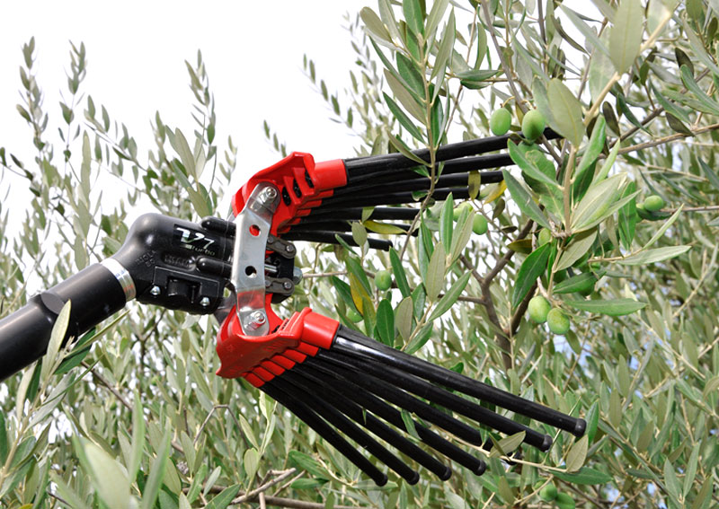 LISAM Olivenschüttler V8 Turbo 9070