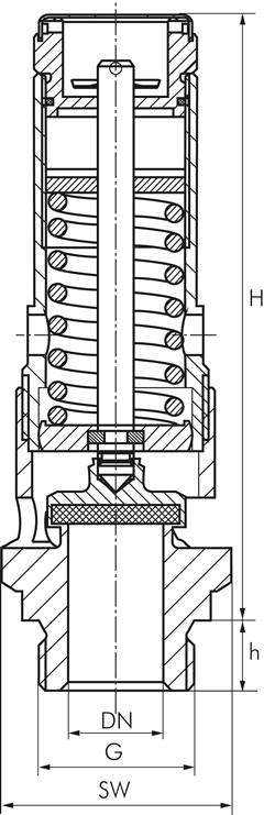 TÜV-Hochleist.-Sicherheitsventil G 1/2"(46,0bar) Messing