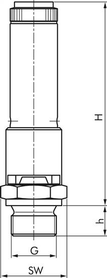 TÜV-Sicherheitsventil G 1/4" (DN8), 0,50 bar, Messing vernickelt