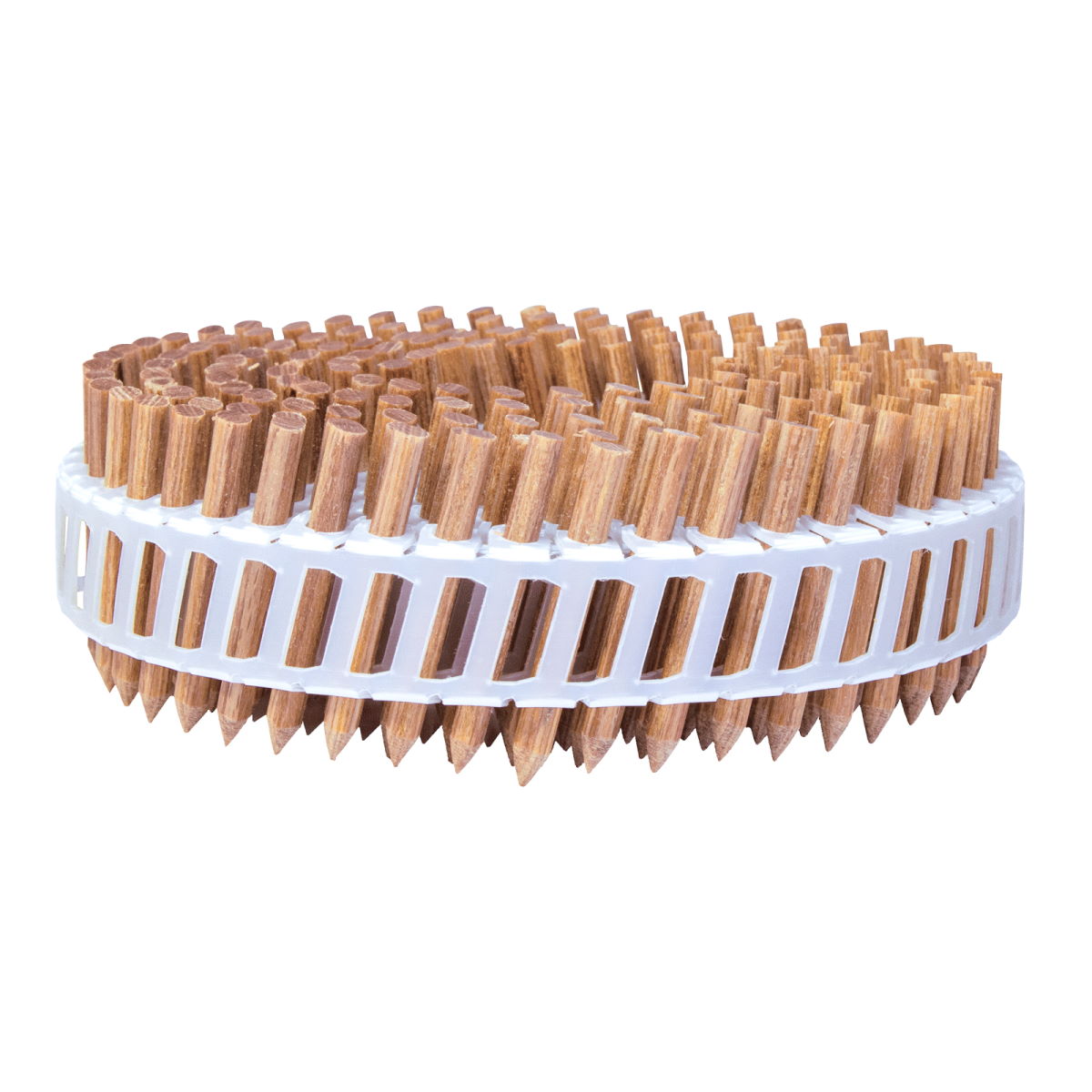 BECK LignoLoc® Holznagel System 15° Coilnägel im Plastikband gemischter Karton 3,7 x 38 mm, 50 mm, 60 mm glatt ungeharzt