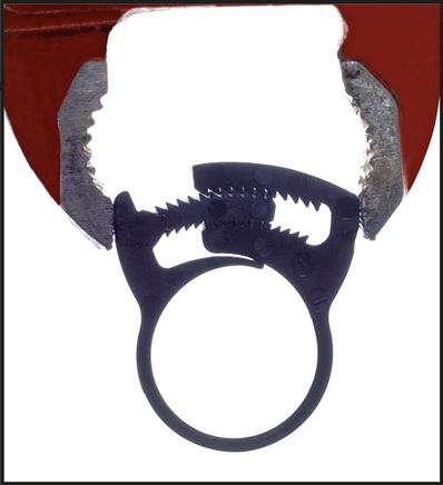 Schnapp-Schlauchschelle, Nylon, 10 - 11mm