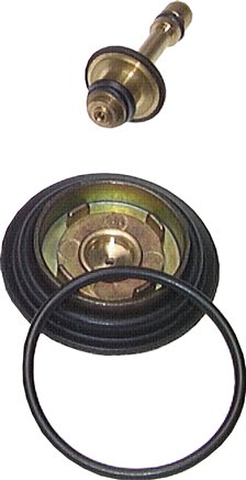 Ersatzmembrane Baureihe Mini (DR 022)