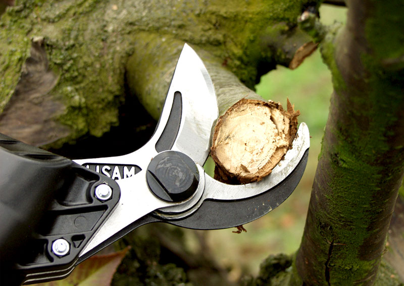 LISAM Super SLY Pneumatische Astschere 9037