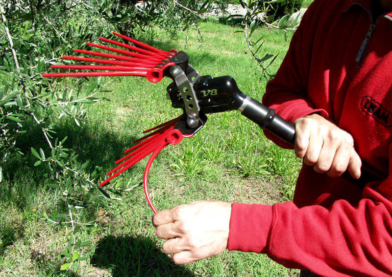 LISAM Olivenschüttler V8 Titanium 9079