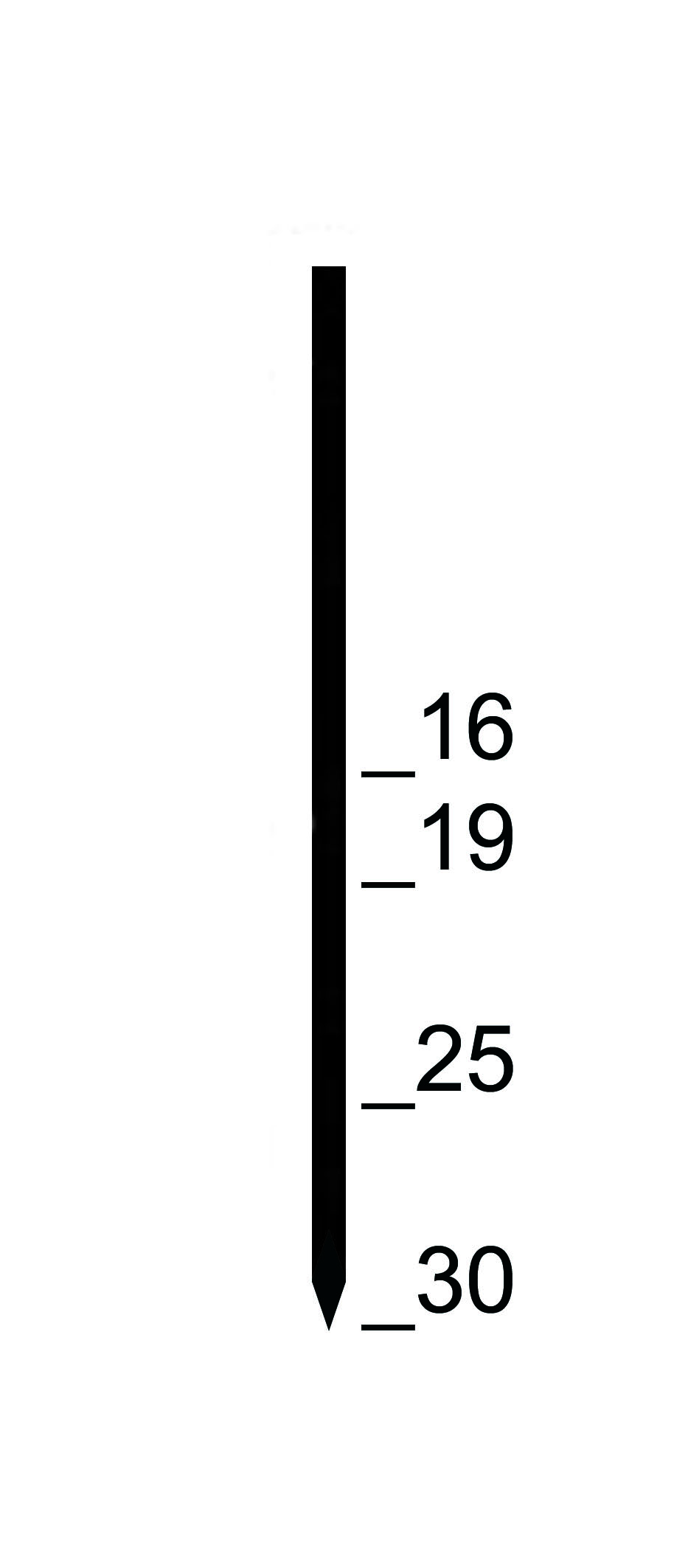 Prebena Pins GA16CNKHA