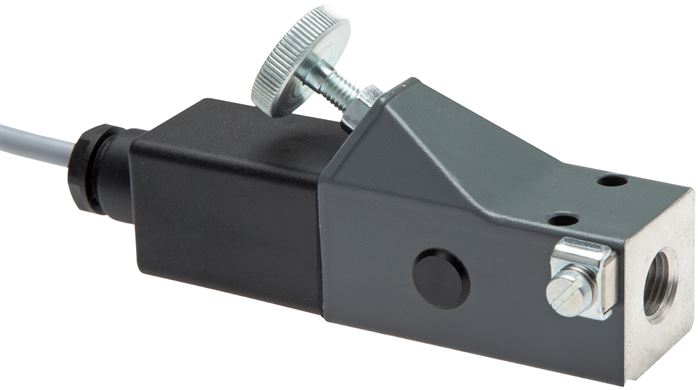 ATEX-Druckschalter 20 - 100 bar (Wechsler), G 1/4" (IG)