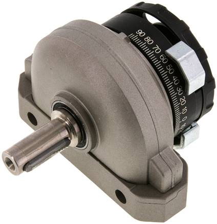 FESTO DSR-25-180-P (11911) Schwenkantrieb