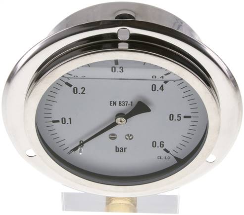 Glycerin-Einbaumanometer,Frontring, 100mm, 0 - 0,6 bar -Eco-Line