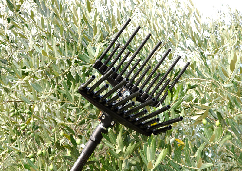 LISAM Olivenschüttler MG Magnesium 9072