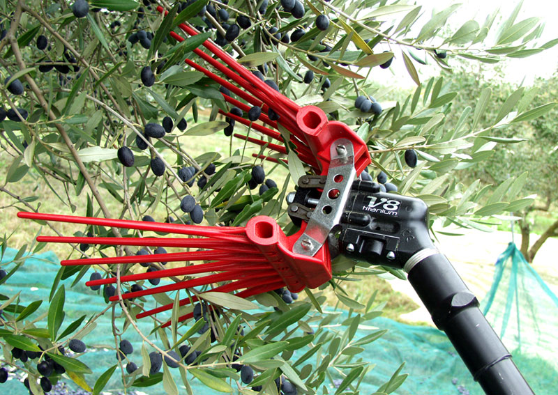 LISAM Olivenschüttler V8 Titanium 9079