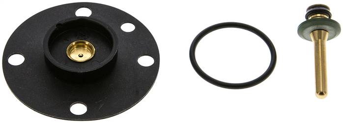 Ersatzmembrane Baureihe Standard 1 (DR)