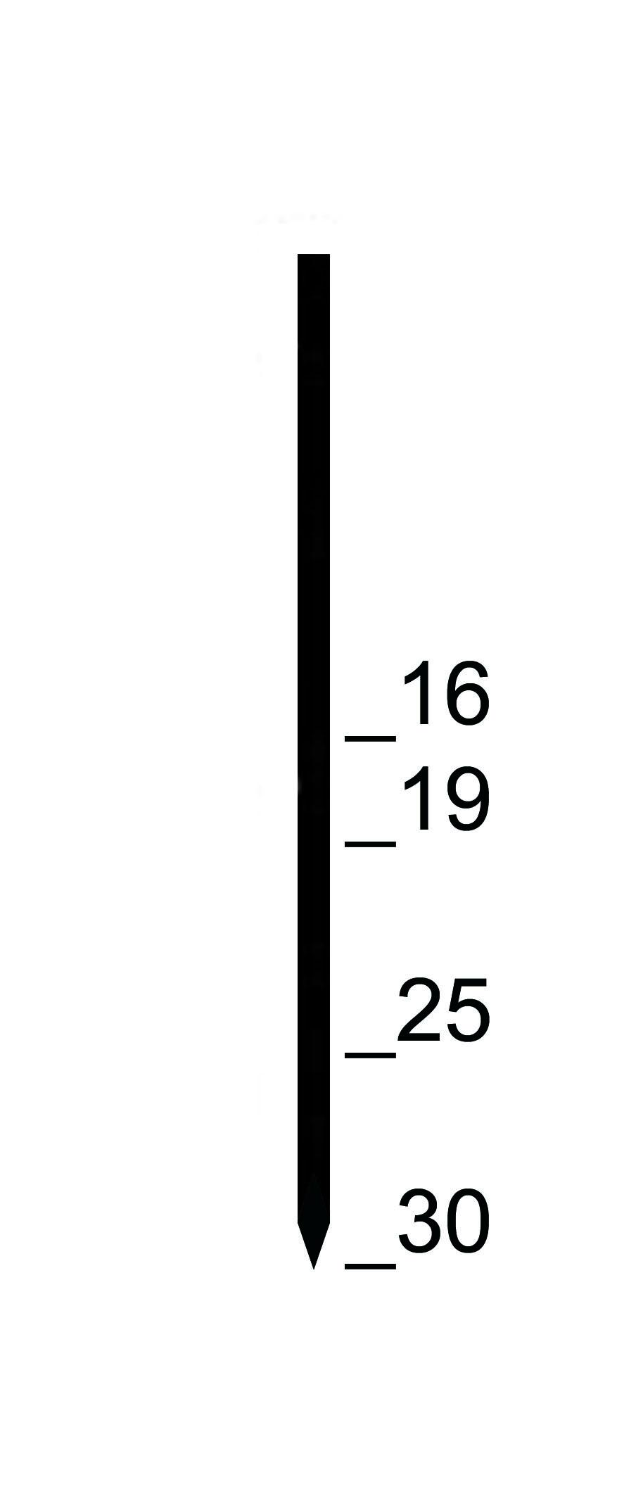 Prebena Pins GA30CNKHA