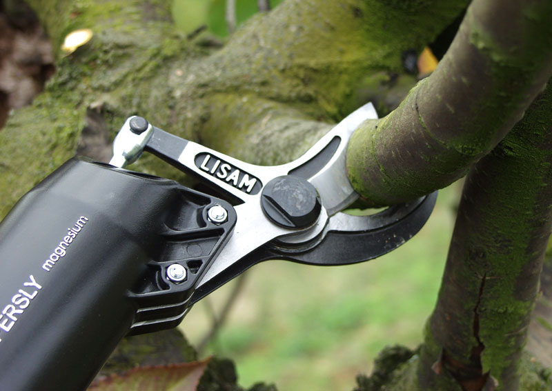 LISAM Super SLY Pneumatische Astschere 9037